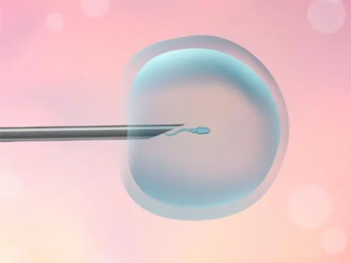 「测排卵的方式」卵泡破了多久排出来