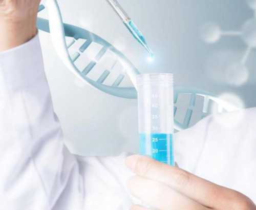 孕期同房：是甜蜜的负担还是安全的选择？