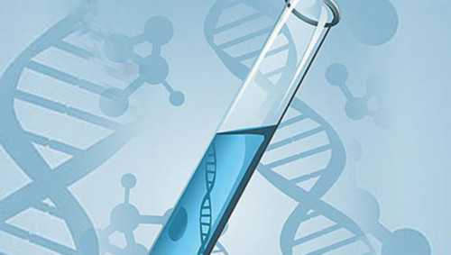 长妊娠纹是什么样子 妊娠纹刚出来的样子