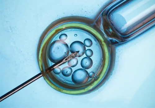 捐供卵试管援助中心试管受精后几天吃什么