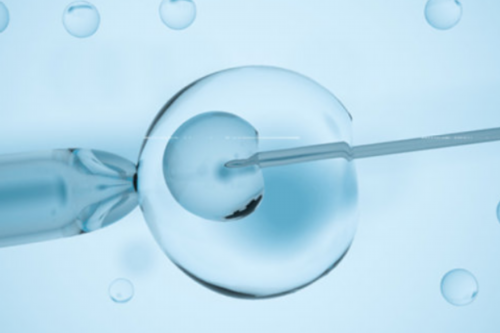 杭州有做供卵三代试管婴儿,杭州那个城市会做借卵第三代试管婴儿？