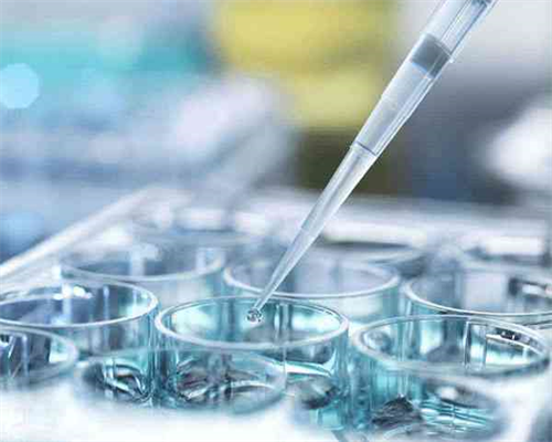 盆腔炎：揭秘症状背的真相