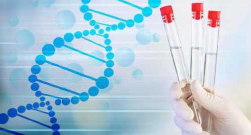 健康指南？海外做三代供卵试管大概要多少钱？