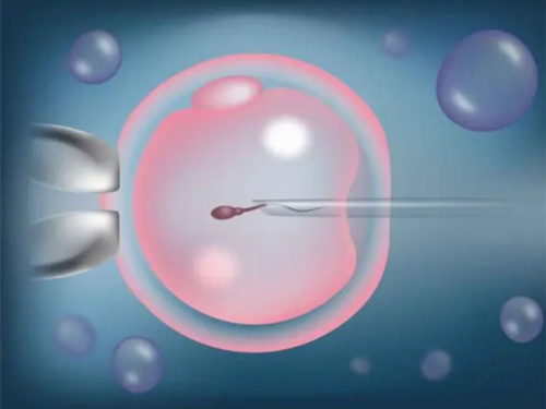 母乳喂养，宝宝最好的呵护