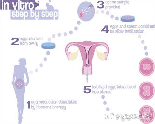 上海海外代生正规机构医院[上海全球代生正规机构]