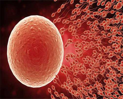 母乳喂养，宝宝最好的呵护