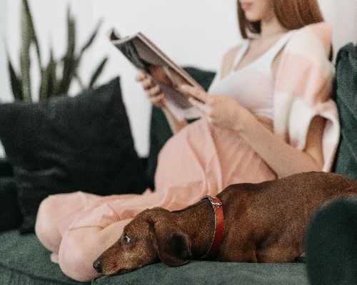 c型内膜移植成功率，子宫内膜c型可不可以移植？